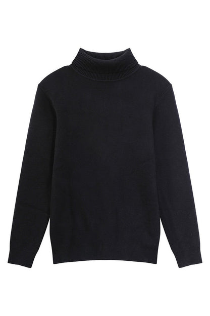 Tencel Cashmere Fitted Turtleneck Sweater