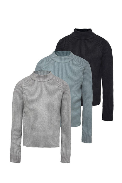 Ribbed Raglan Knit Sweater