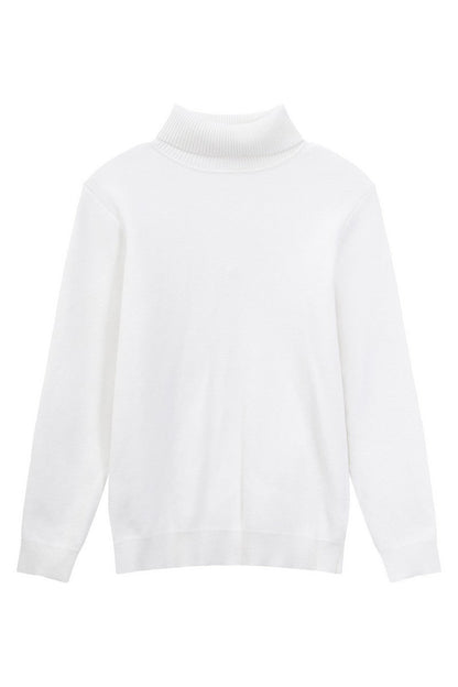 Tencel Cashmere Fitted Turtleneck Sweater